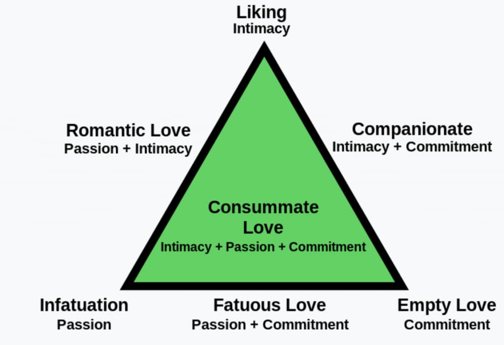 Sternberg's triangle of love: describes any relationships from romantic love to swingers sex